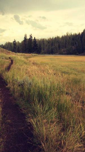 低价网站建设截图3