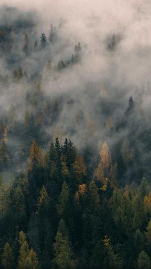 成都 网站建设公司截图4