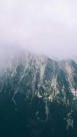 泛目录站群系统截图1