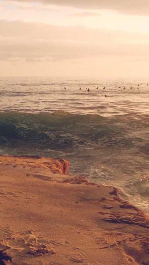 SEO伪原创工具截图1