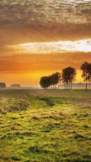 温州seo排名工具截图4