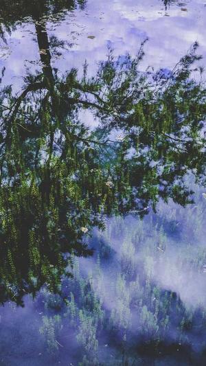 用cn域名做搜狗蜘蛛池截图2