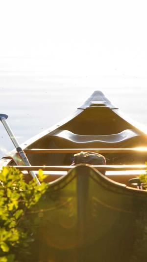 谁租过靠谱的蜘蛛池截图2