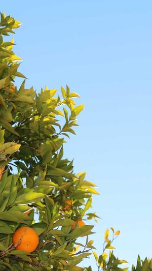 邵阳网站建设截图4