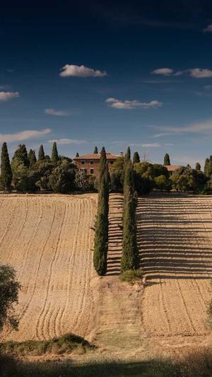 搜外蜘蛛池截图3