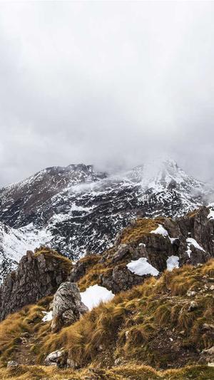 龙华网站建设截图3