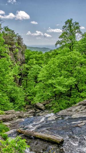 蜘蛛池提高权重截图2