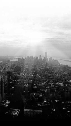 网站建设怎么进行一级域名申请截图3