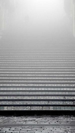 神马蜘蛛池怎么搭建截图2