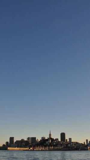 智能seo工具截图2