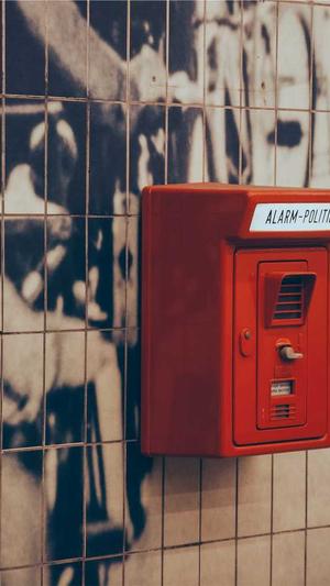 SEO优化工具截图2