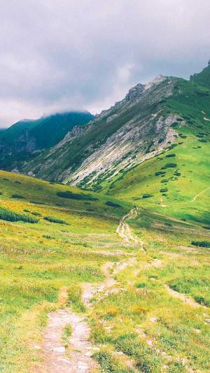 搜索seo优化平台截图3