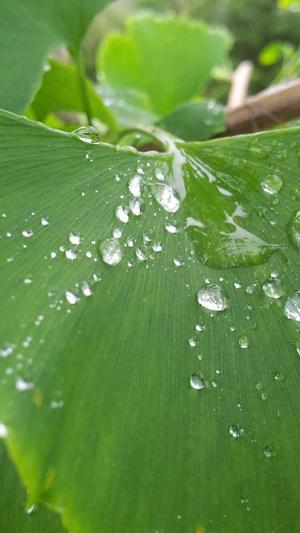 泛目录哪个平台好截图3