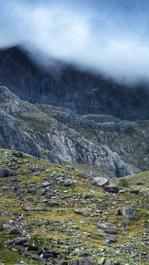 站长工具seo在线截图1