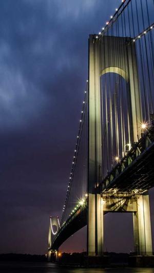 厦门网站建设公司截图3