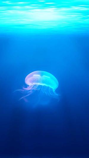 甘肃省建设厅网站截图2