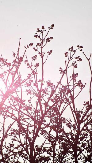 政府网站建设截图3