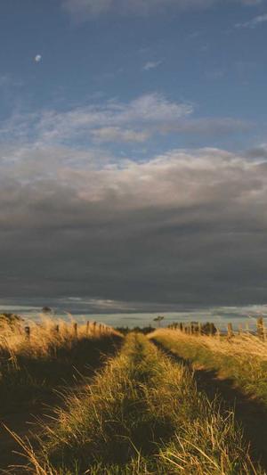 蜘蛛池工具下载截图1