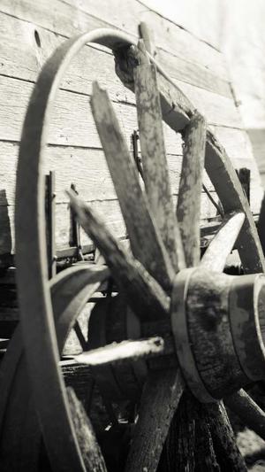 seo手机流量工具截图2