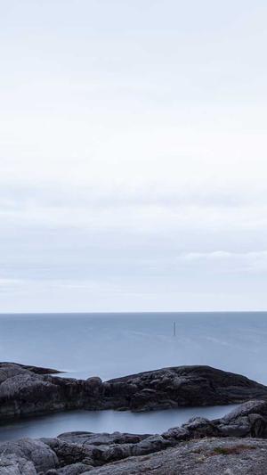 乐清网站建设截图1