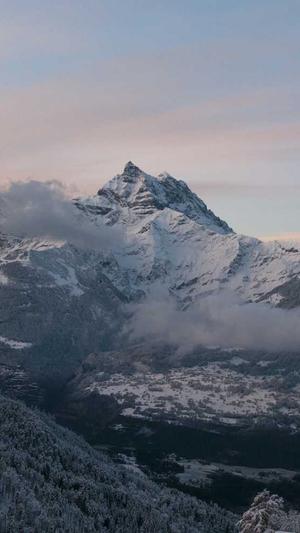 seo站群怎么建立泛目录截图5