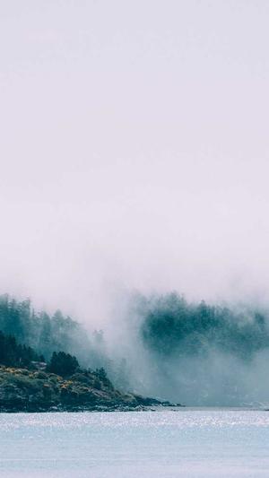 北京营销型网站建设截图1