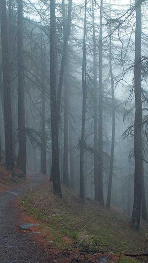 成都seo排名截图1