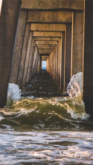 枫叶蜘蛛池有用吗截图5