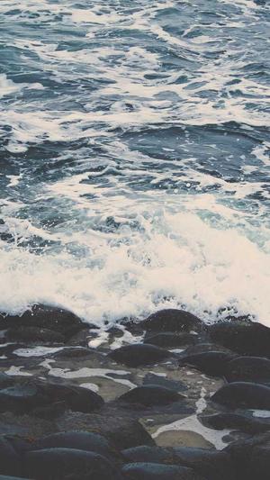 巩义网站建设截图1