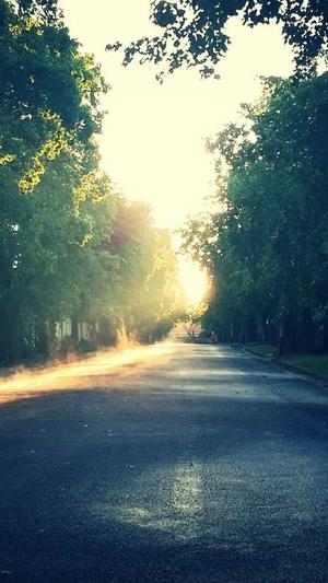 蜘蛛池怎么玩最好截图1