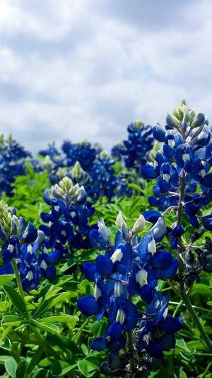 编织网站建设截图4