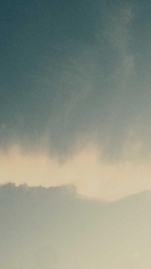 高质量蜘蛛池怎么做截图3