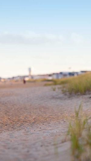 seo网站诊断截图3