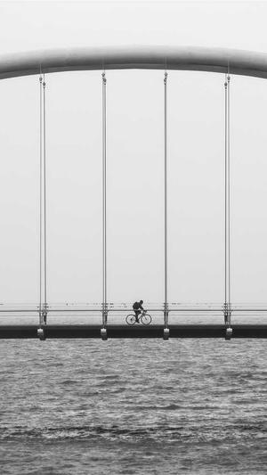 微网站建设网站截图4