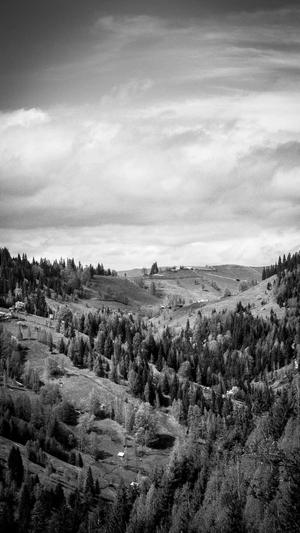 seo关键字优化截图3