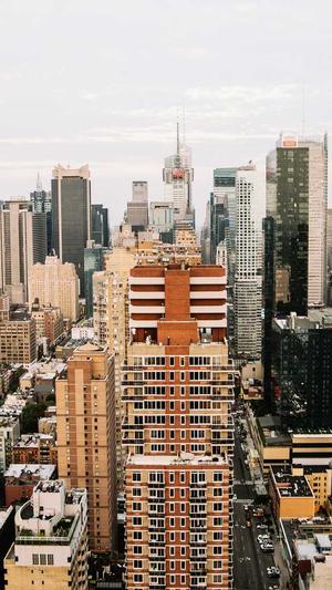 seo优化的网站截图1