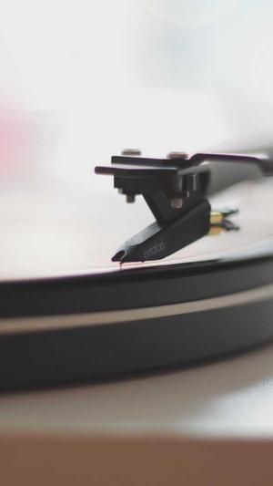 关键字seo排名工具截图4