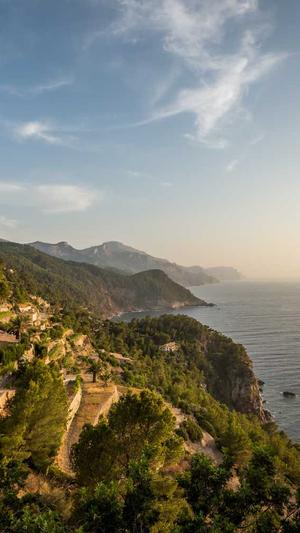 seo排名查询工具截图1