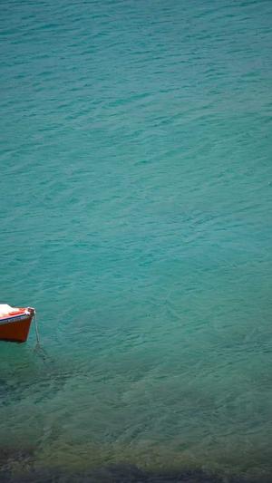 seo优化分析工具截图2