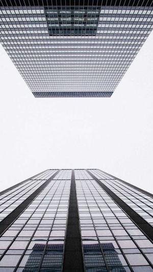 搜狗蜘蛛池服务竞价截图1