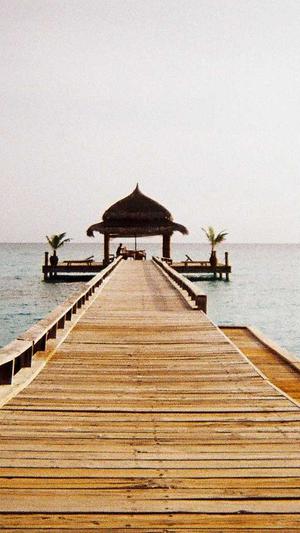 百度seo网站优化截图1