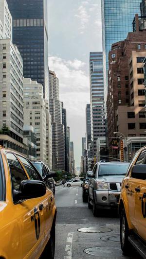 温州seo排名工具截图5