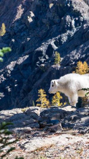 网站建设和优化截图1