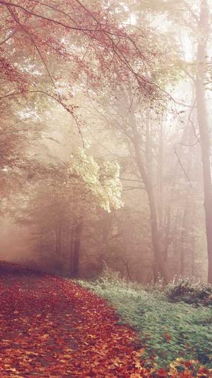 seo泛目录操作方法截图1