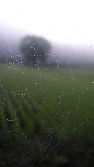 seo泛目录选择旺客专家好截图1