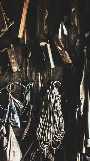 seo免费推广工具截图2