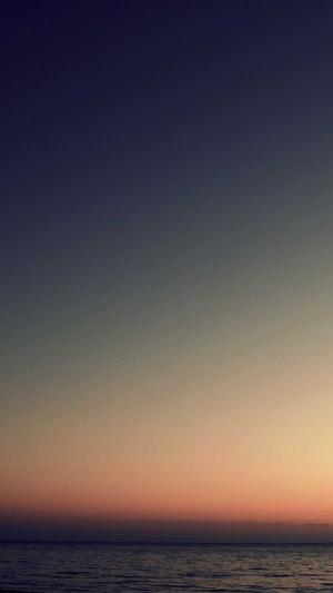 江西蜘蛛池出租哪个好截图5