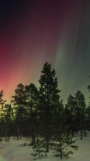 网站建设工作室截图2