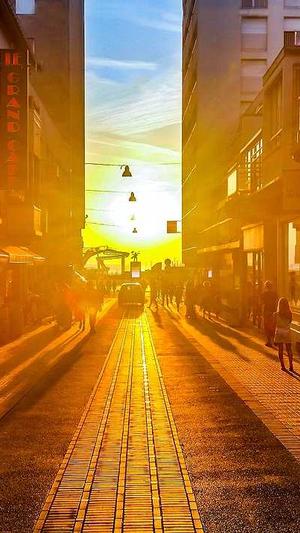 成都seo排名截图5