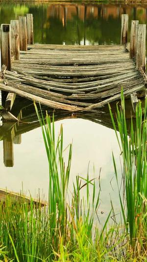 seo站长工具app 代发截图2